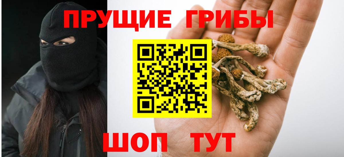 Галлюциногенные грибы мицелий Кимры